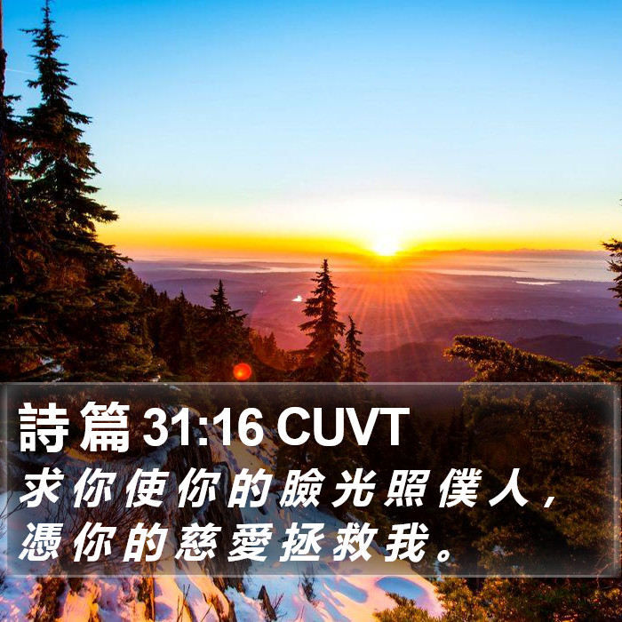 詩 篇 31:16 CUVT Bible Study