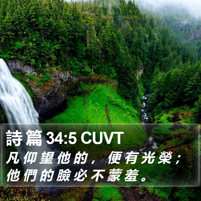 詩 篇 34:5 CUVT Bible Study