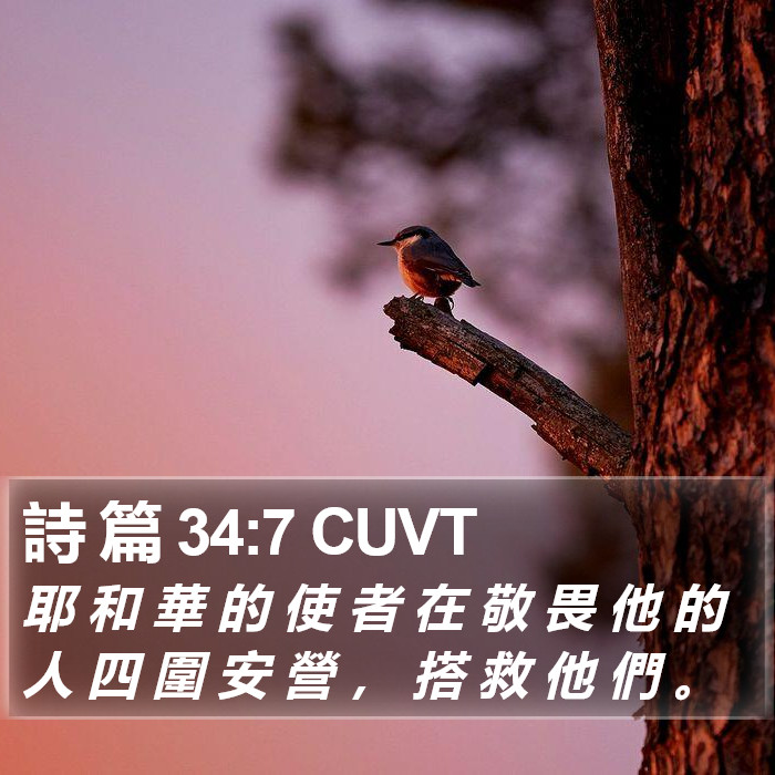 詩 篇 34:7 CUVT Bible Study