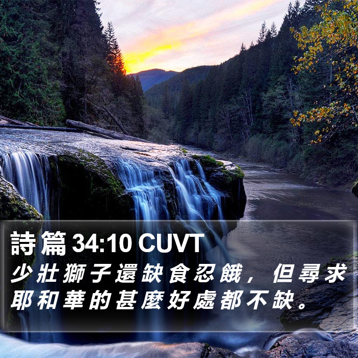 詩 篇 34:10 CUVT Bible Study