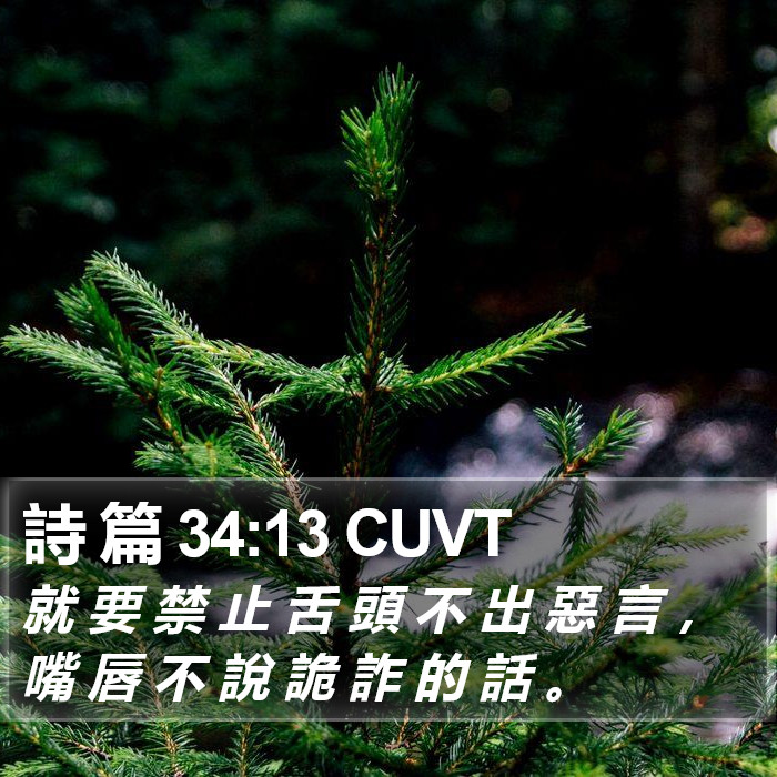 詩 篇 34:13 CUVT Bible Study