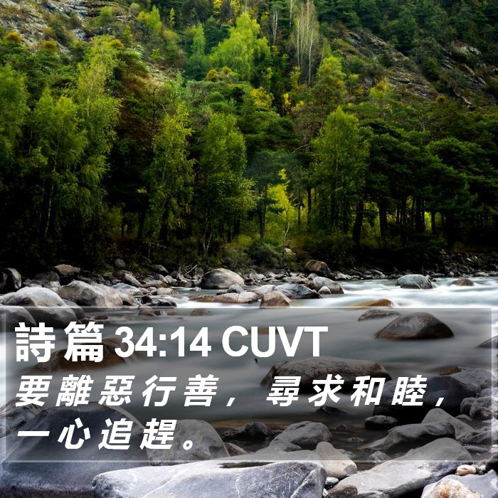 詩 篇 34:14 CUVT Bible Study