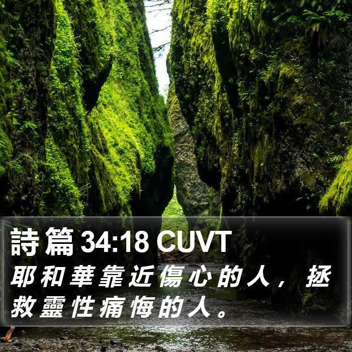 詩 篇 34:18 CUVT Bible Study