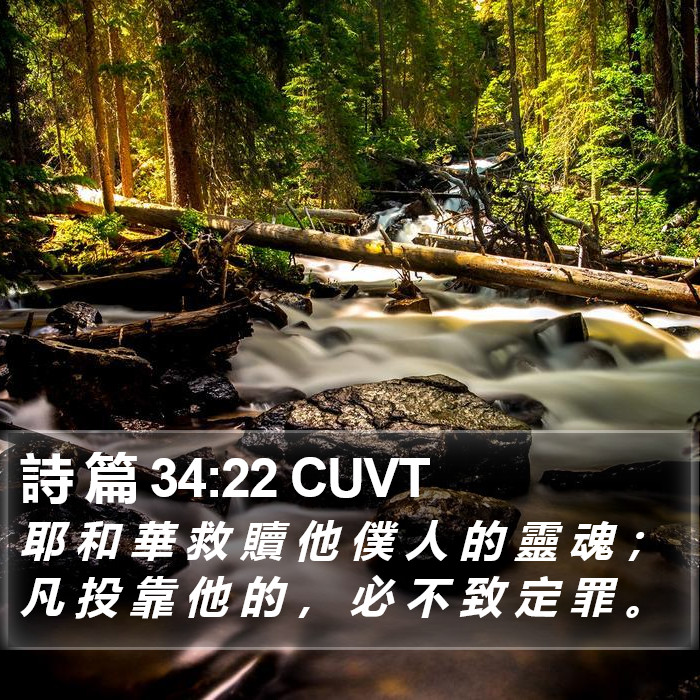 詩 篇 34:22 CUVT Bible Study