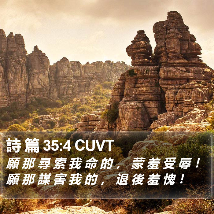 詩 篇 35:4 CUVT Bible Study
