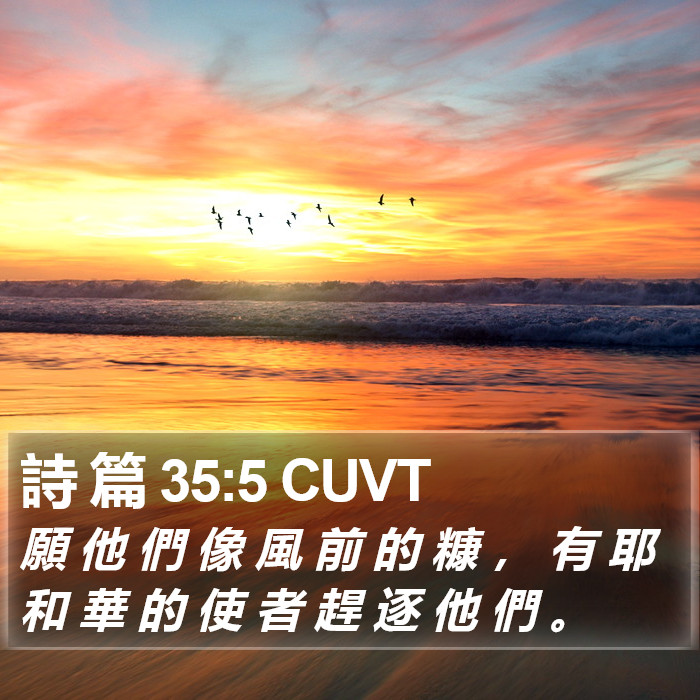 詩 篇 35:5 CUVT Bible Study