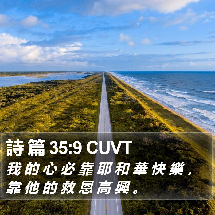 詩 篇 35:9 CUVT Bible Study
