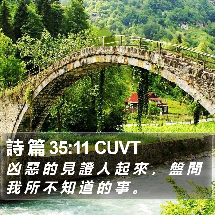 詩 篇 35:11 CUVT Bible Study