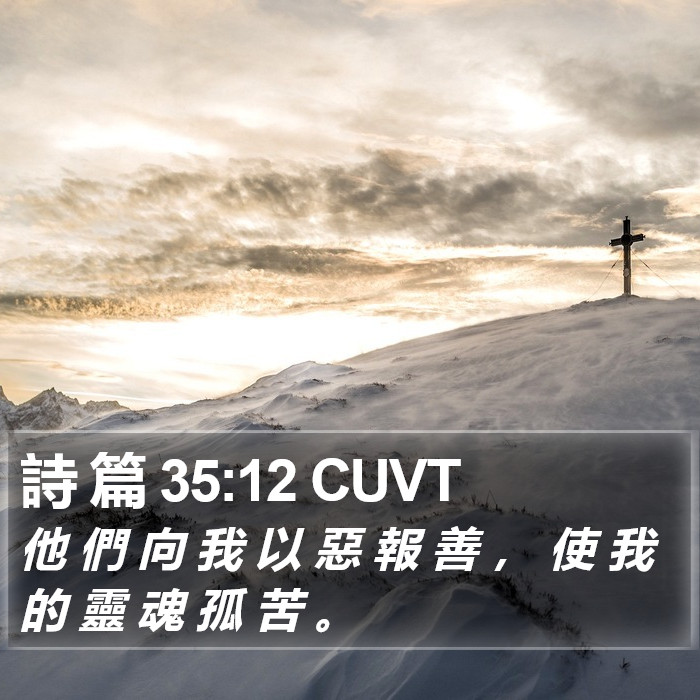 詩 篇 35:12 CUVT Bible Study
