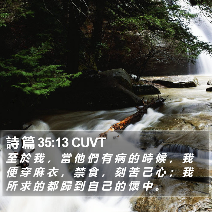 詩 篇 35:13 CUVT Bible Study