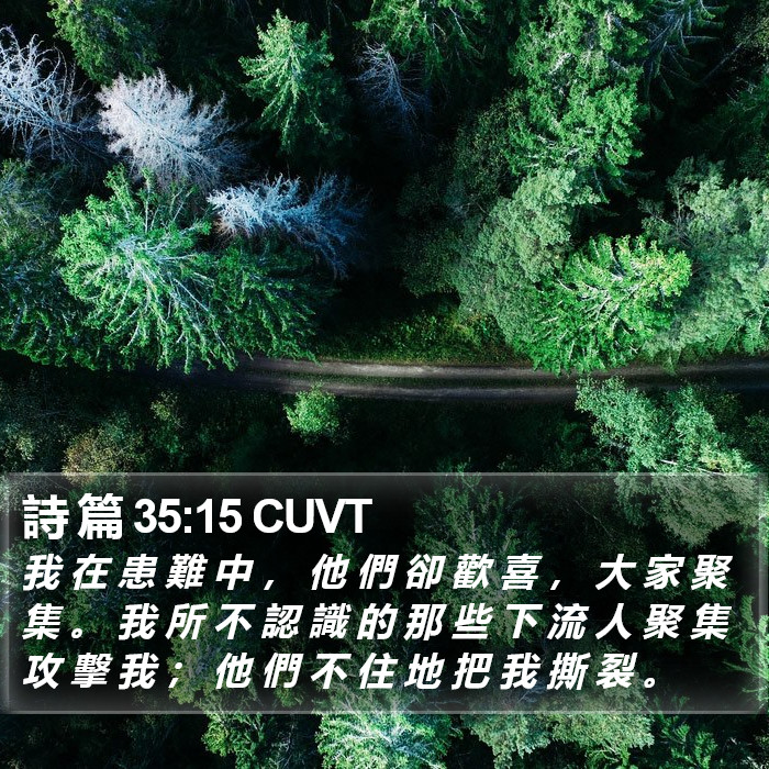 詩 篇 35:15 CUVT Bible Study