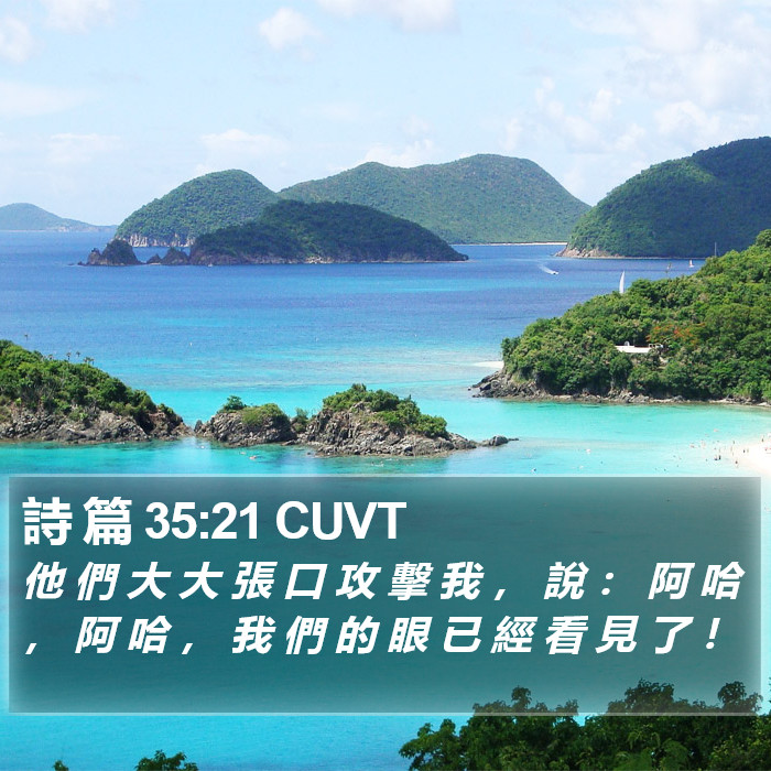 詩 篇 35:21 CUVT Bible Study