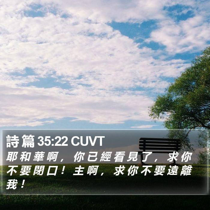 詩 篇 35:22 CUVT Bible Study