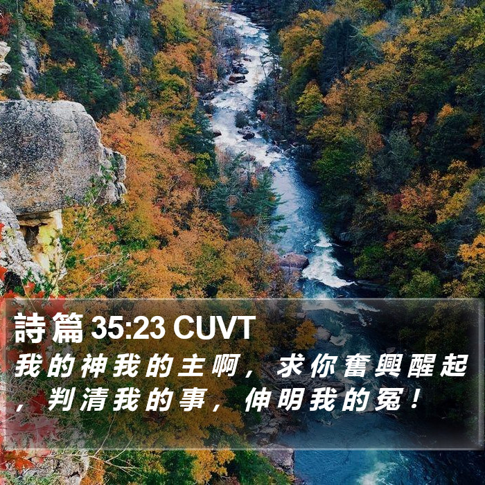 詩 篇 35:23 CUVT Bible Study