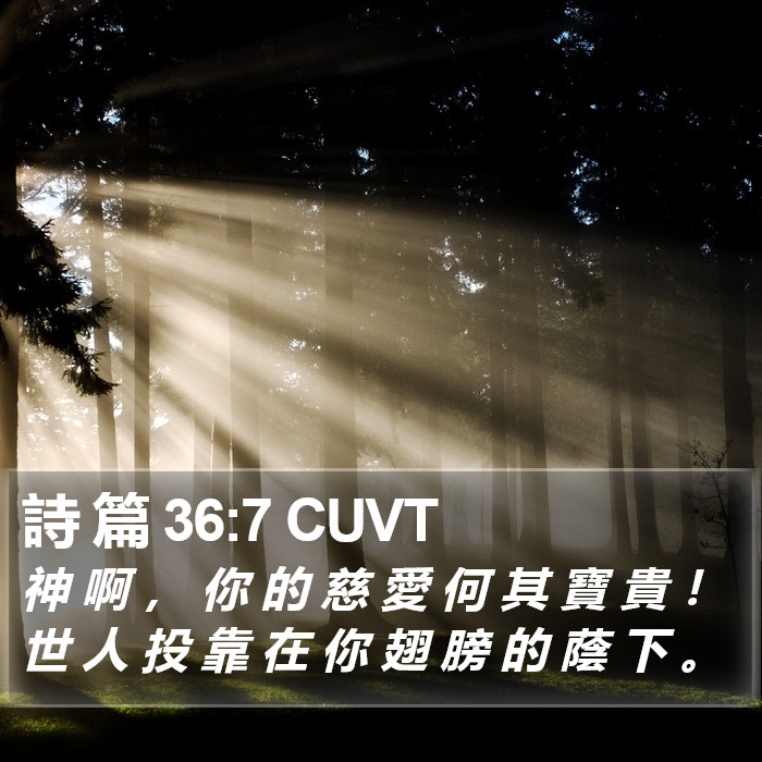 詩 篇 36:7 CUVT Bible Study