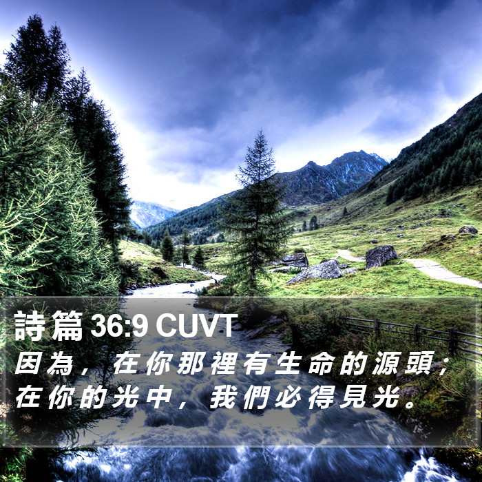 詩 篇 36:9 CUVT Bible Study