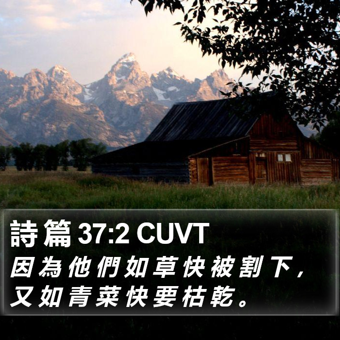 詩 篇 37:2 CUVT Bible Study