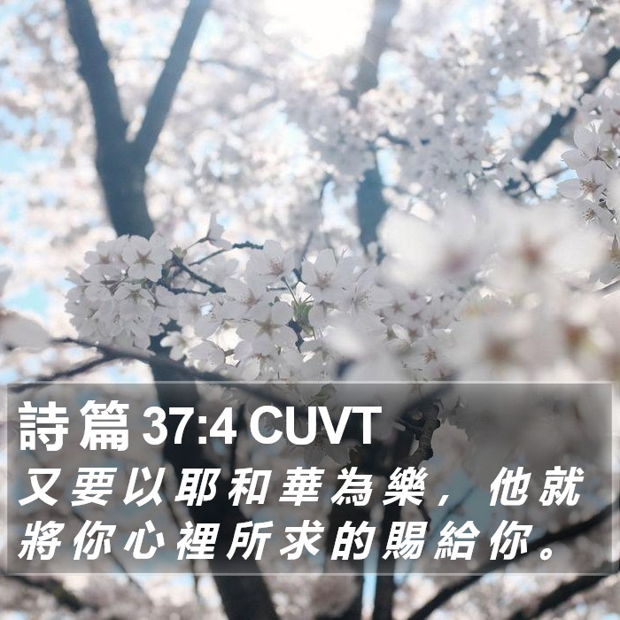 詩 篇 37:4 CUVT Bible Study