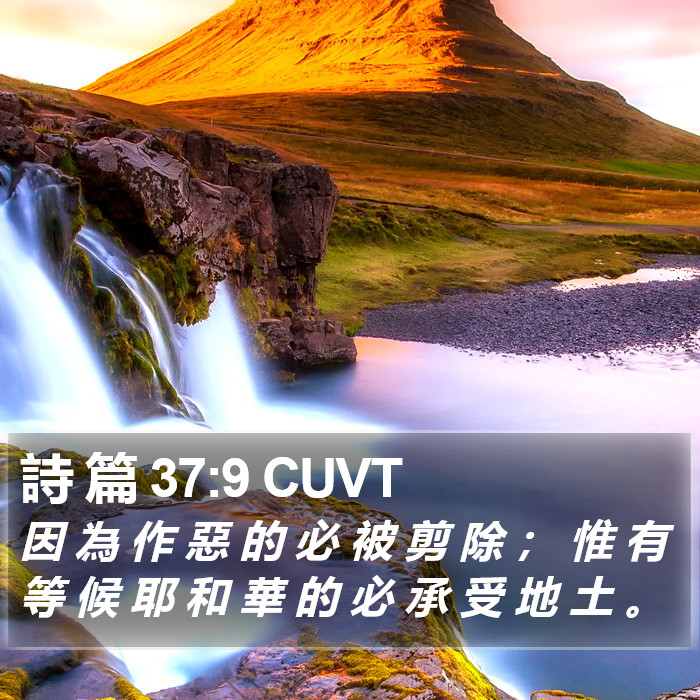 詩 篇 37:9 CUVT Bible Study