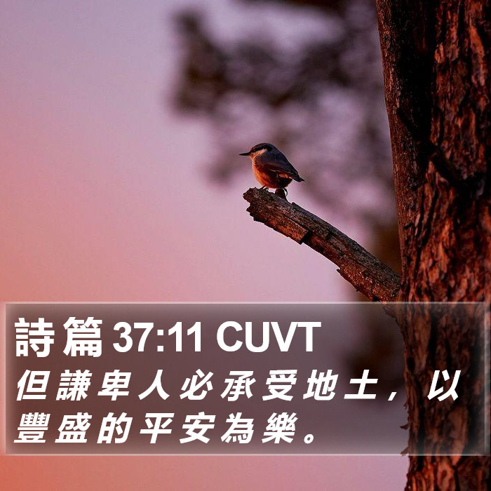 詩 篇 37:11 CUVT Bible Study