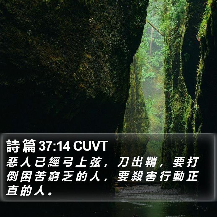 詩 篇 37:14 CUVT Bible Study