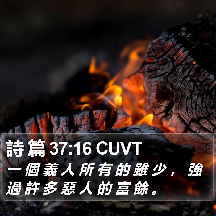 詩 篇 37:16 CUVT Bible Study