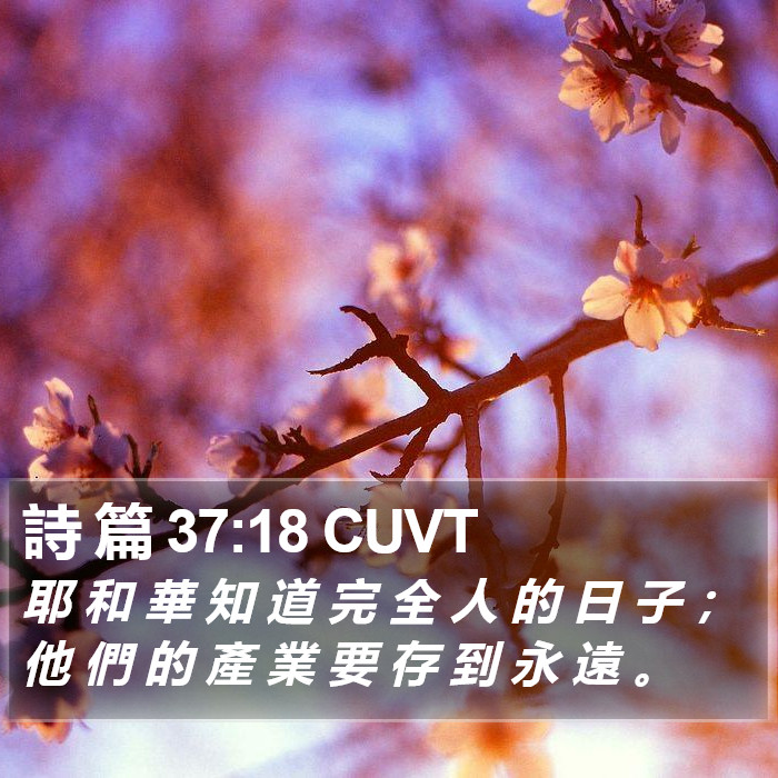 詩 篇 37:18 CUVT Bible Study