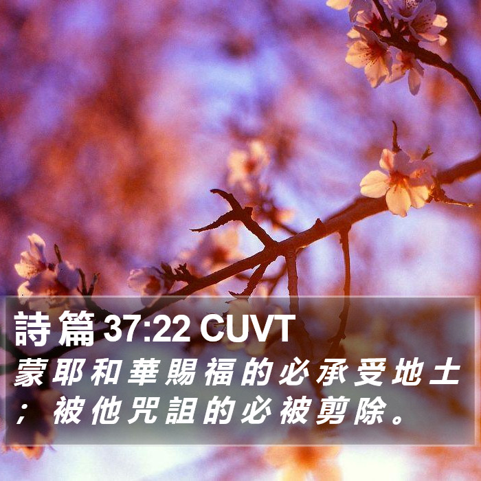 詩 篇 37:22 CUVT Bible Study