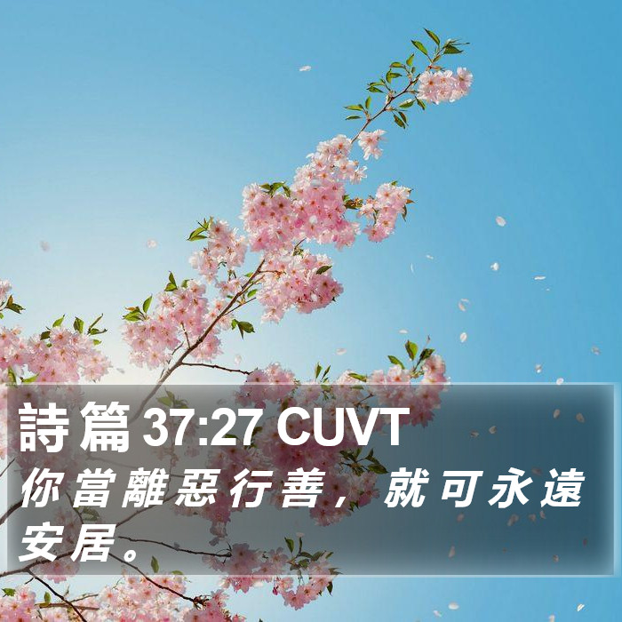 詩 篇 37:27 CUVT Bible Study