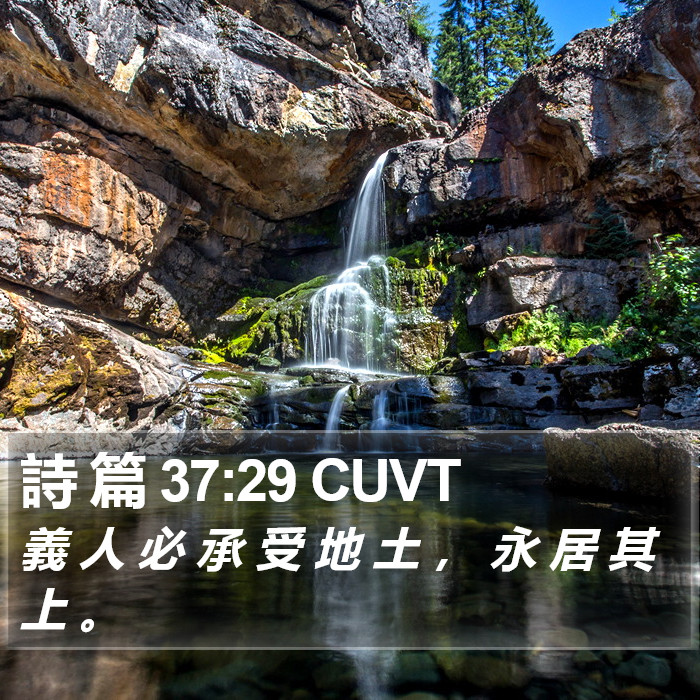 詩 篇 37:29 CUVT Bible Study