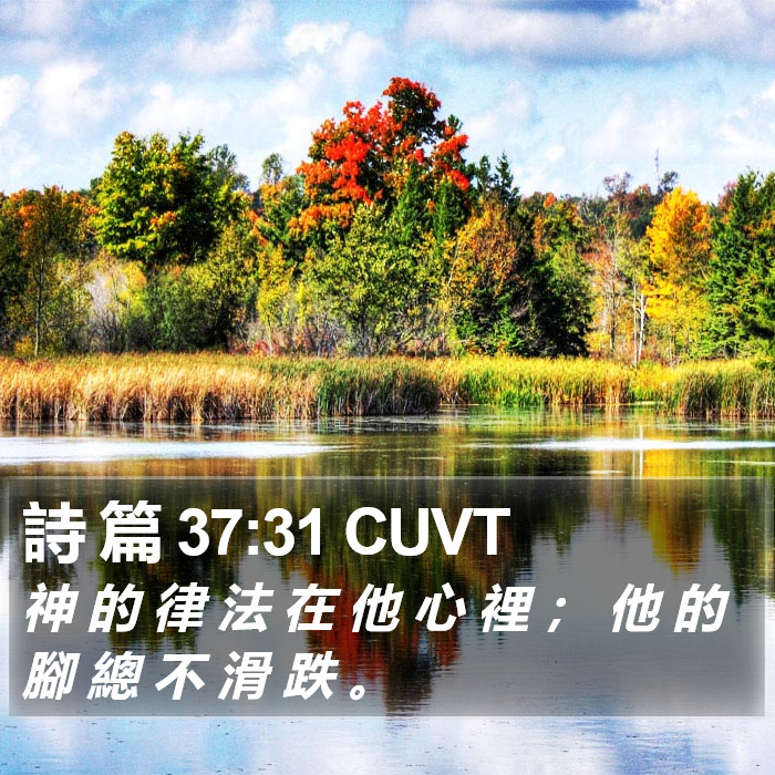 詩 篇 37:31 CUVT Bible Study