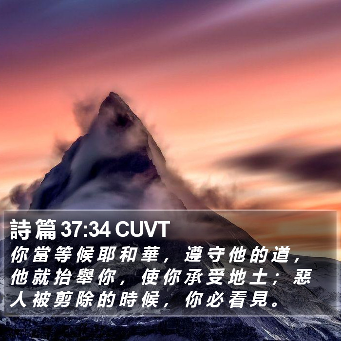 詩 篇 37:34 CUVT Bible Study