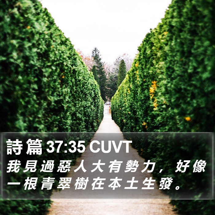 詩 篇 37:35 CUVT Bible Study