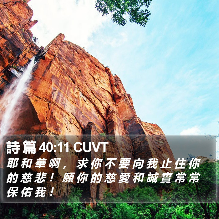 詩 篇 40:11 CUVT Bible Study