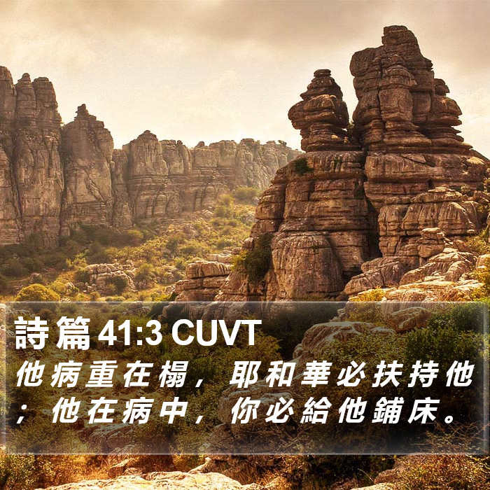 詩 篇 41:3 CUVT Bible Study