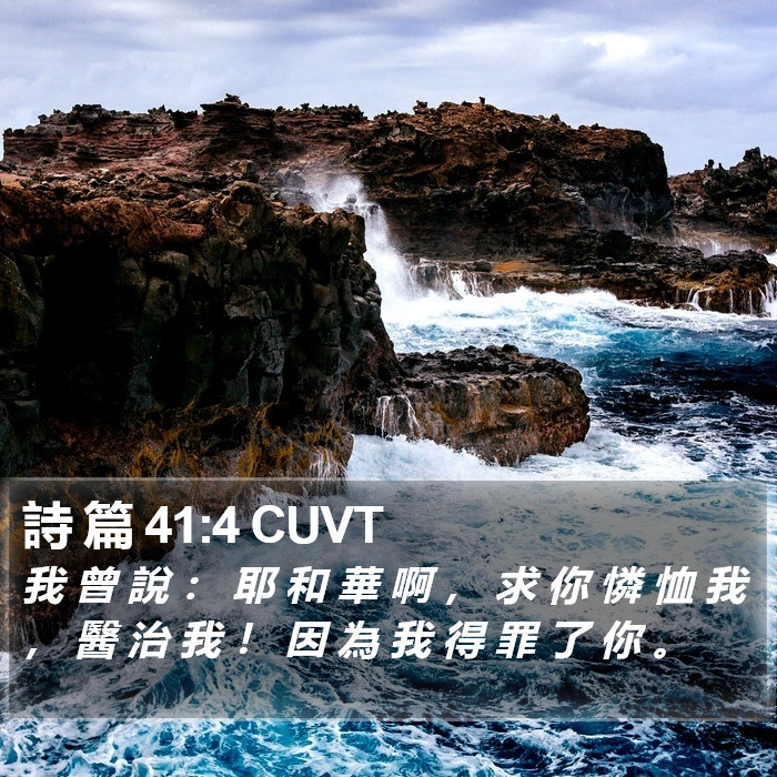 詩 篇 41:4 CUVT Bible Study