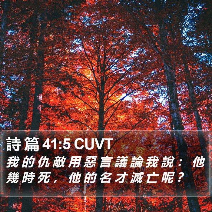 詩 篇 41:5 CUVT Bible Study