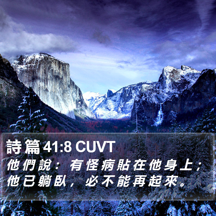 詩 篇 41:8 CUVT Bible Study