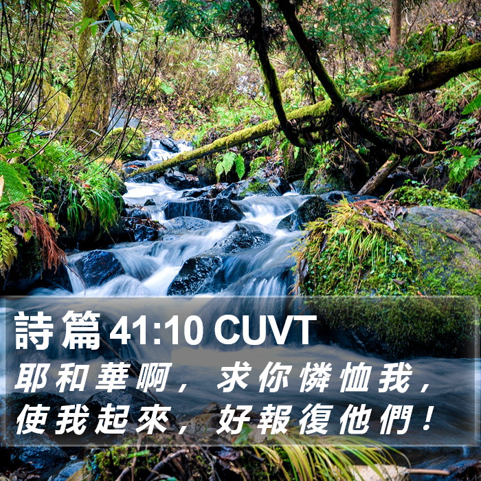 詩 篇 41:10 CUVT Bible Study