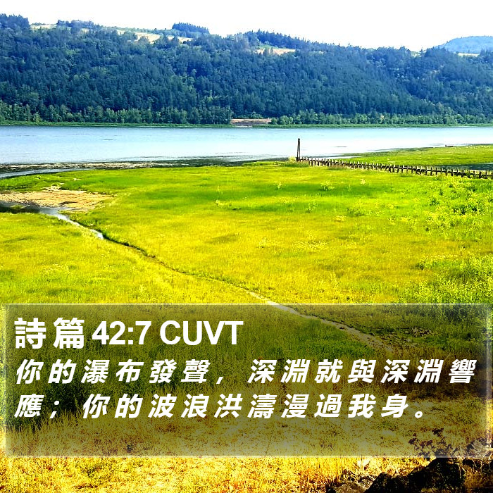 詩 篇 42:7 CUVT Bible Study