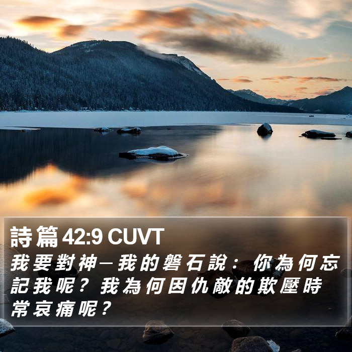 詩 篇 42:9 CUVT Bible Study
