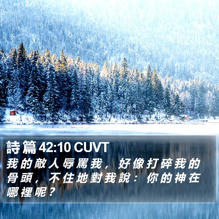 詩 篇 42:10 CUVT Bible Study