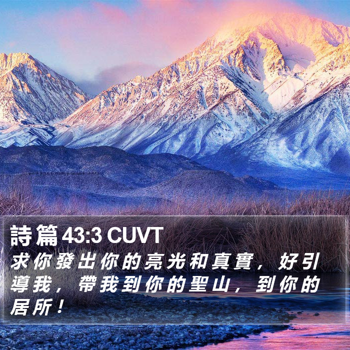 詩 篇 43:3 CUVT Bible Study