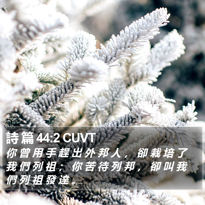 詩 篇 44:2 CUVT Bible Study