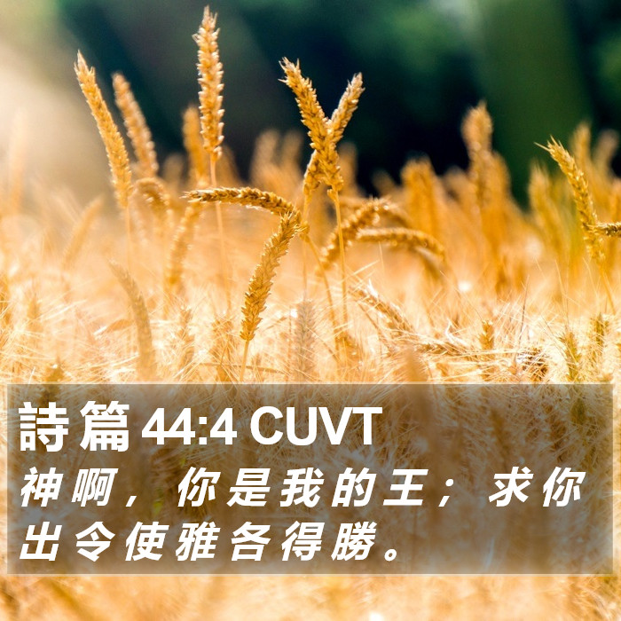 詩 篇 44:4 CUVT Bible Study