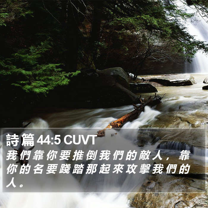 詩 篇 44:5 CUVT Bible Study