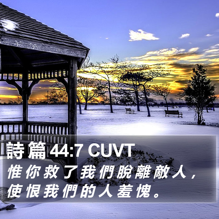 詩 篇 44:7 CUVT Bible Study
