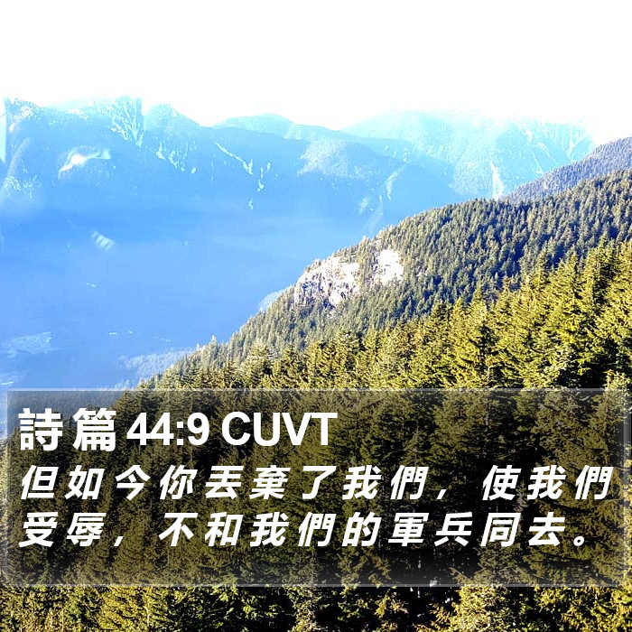 詩 篇 44:9 CUVT Bible Study