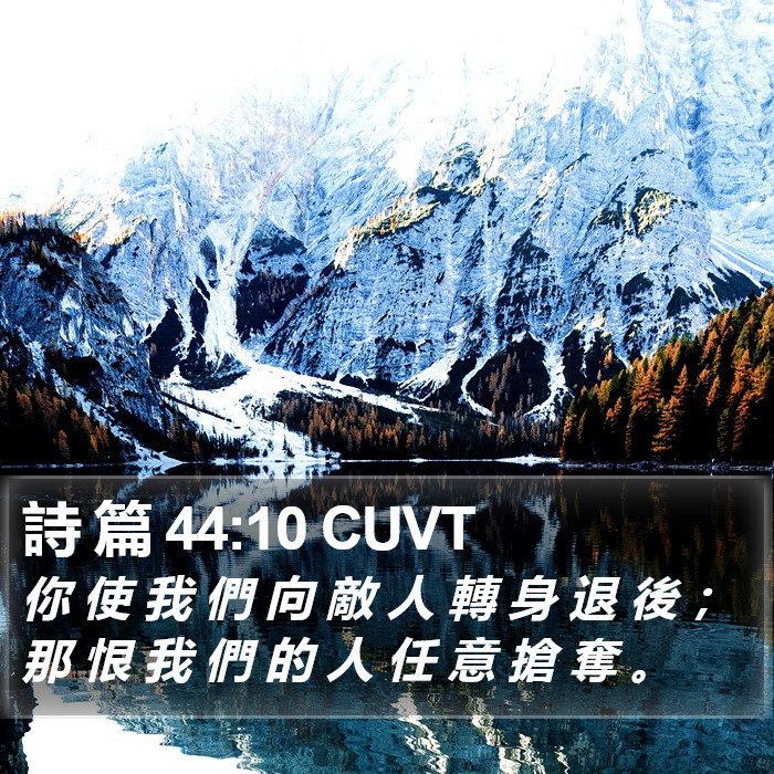 詩 篇 44:10 CUVT Bible Study