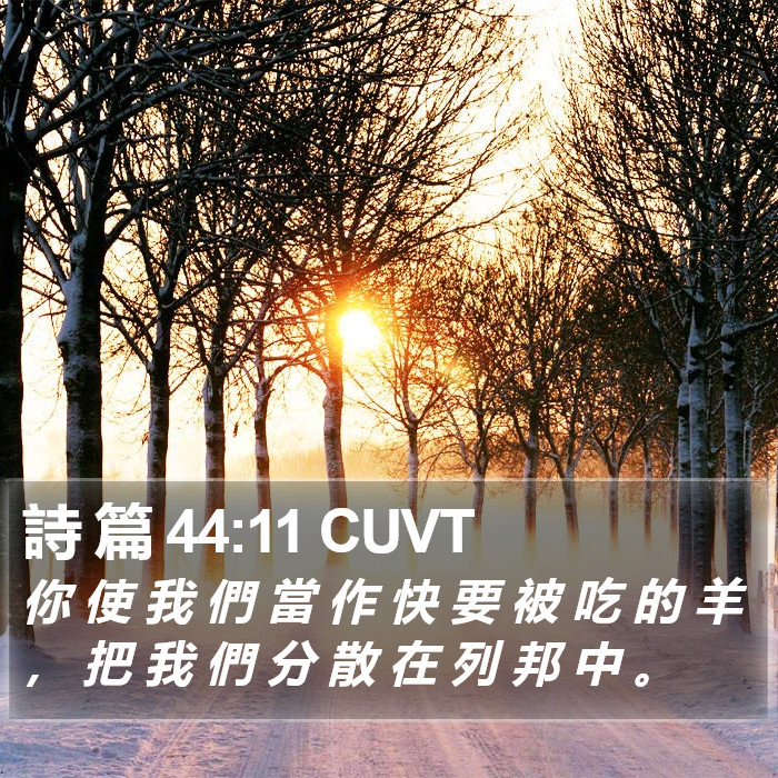 詩 篇 44:11 CUVT Bible Study